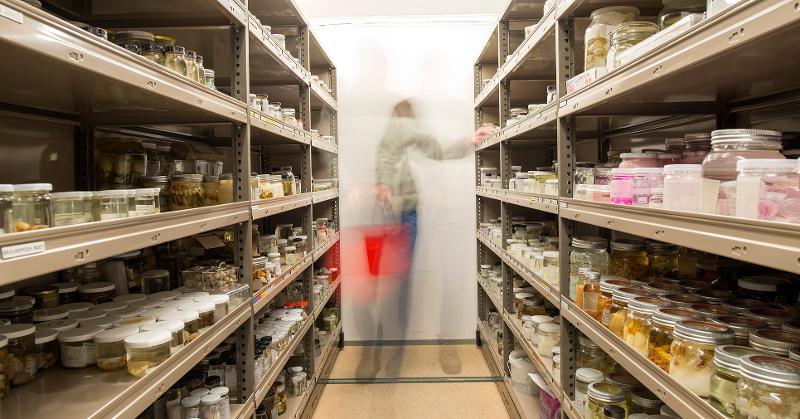 Zoo våtmagasin_DSC9204-foto Mari Karlstad.jpg